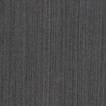Tatami Nezumi P124-CA | R