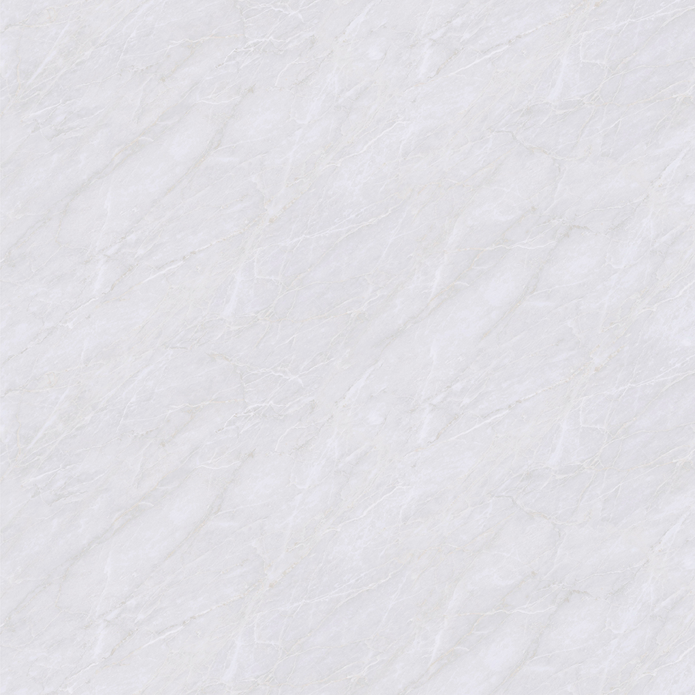 Mont Blanc P1009-VL | U