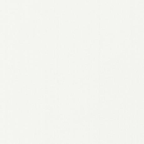 Ivory White